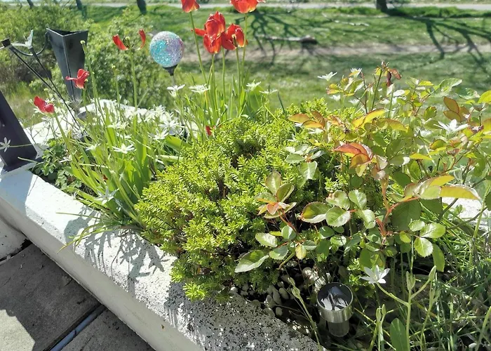 בית נופש Haus Am Rhein *